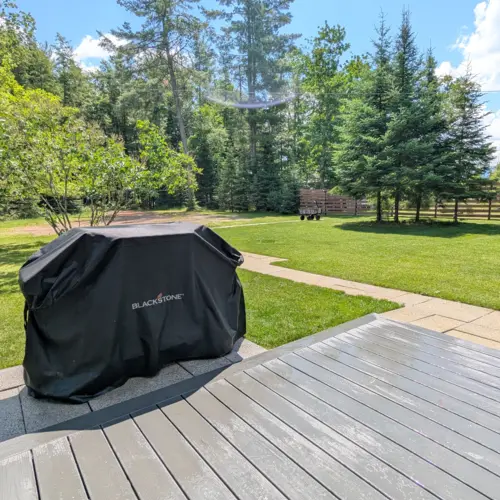 Nuestra casa de vacaciones en Eagle River cuenta con un amplio césped que ofrece un espacio seguro y divertido para que los niños jueguen al aire libre junto al lago.